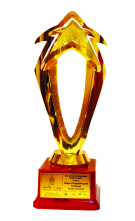Award Image