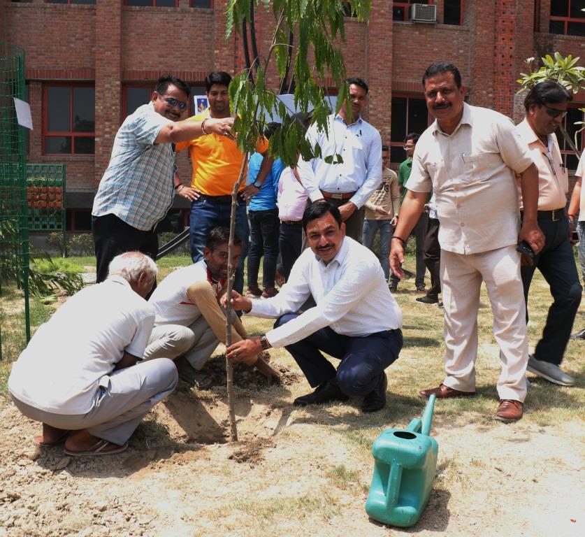World Environment Day on 7th June 2019