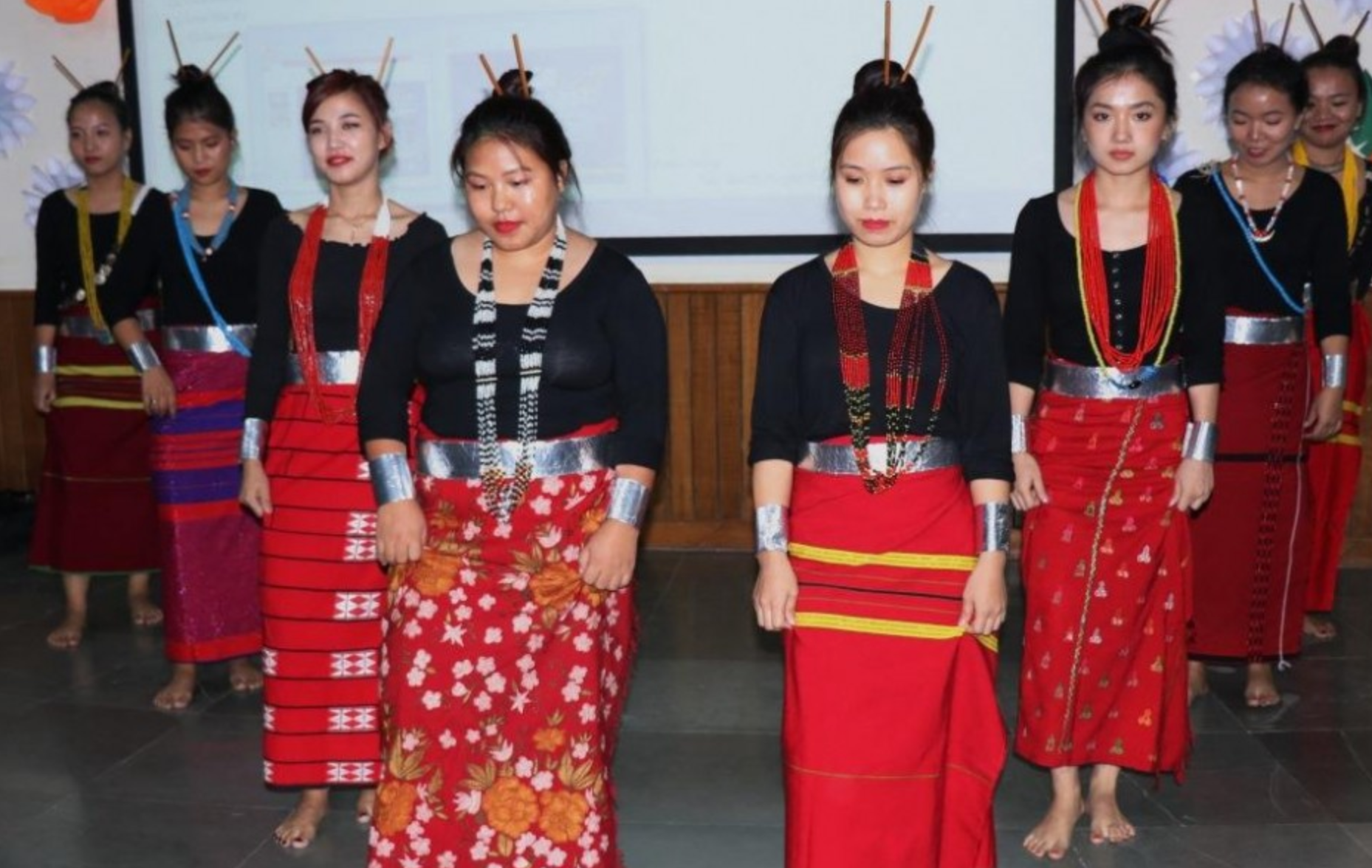 Sharda University organised North-East Cultural Meet 2018
