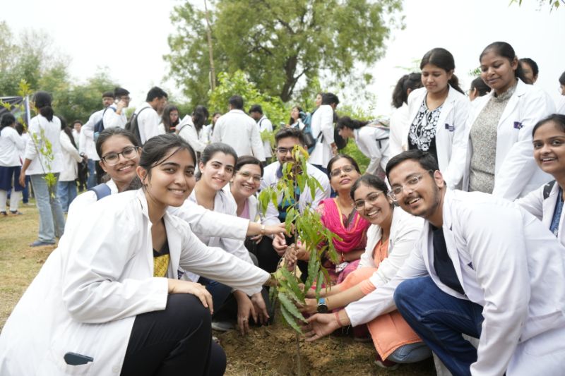 Tree Plantation Drive