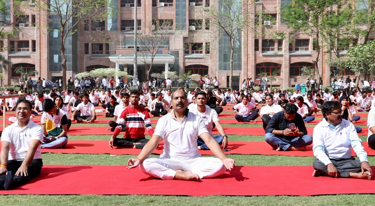 'Yogotsav' International Day of Yoga